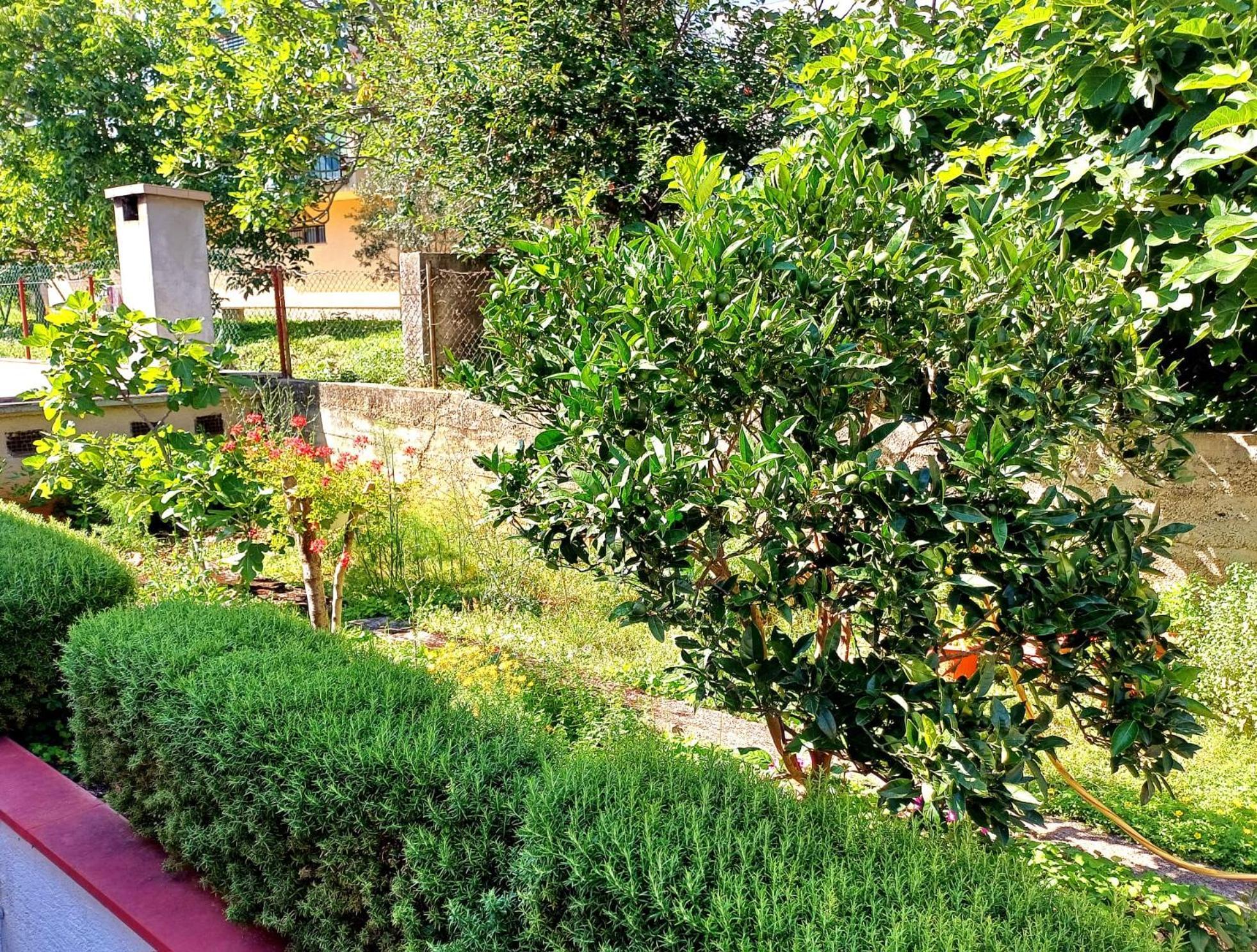 Ferienwohnung Adria Crikvenica Exterior foto
